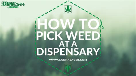 Pure dispensary cannasaver. Things To Know About Pure dispensary cannasaver. 
